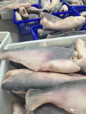 越南巴沙鱼工厂实录:原料短缺、产品涨价已经成为普遍现象,接不接受高价,这是个问题?